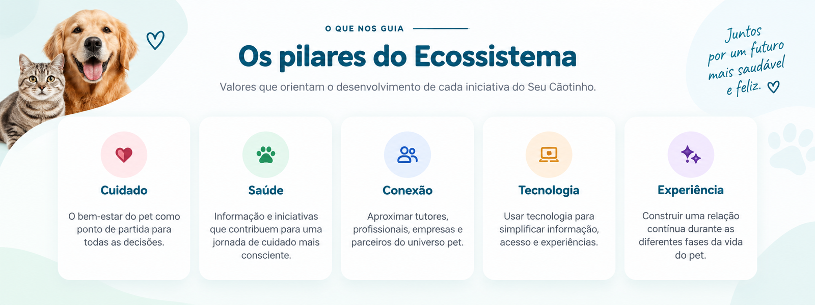 Pilares do Ecossistema: Cuidado, Saúde, Conexão, Tecnologia e Experiência